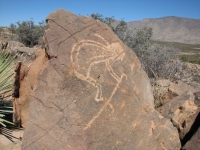 Kokopelli